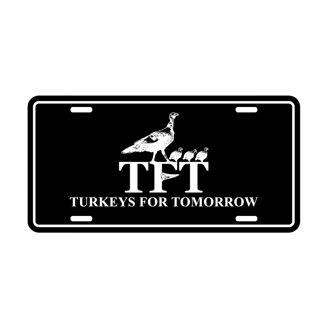 TFT License Plate