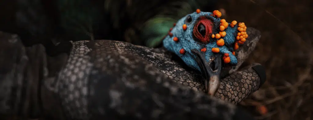 El Halcon donating the adventure of a lifetime - Turkeys for Tomorrow